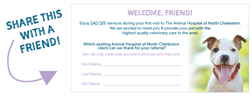 Refer a Friend to the Animal Hospital of North Charleston
