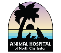 The Animal Hospital of North Charleston